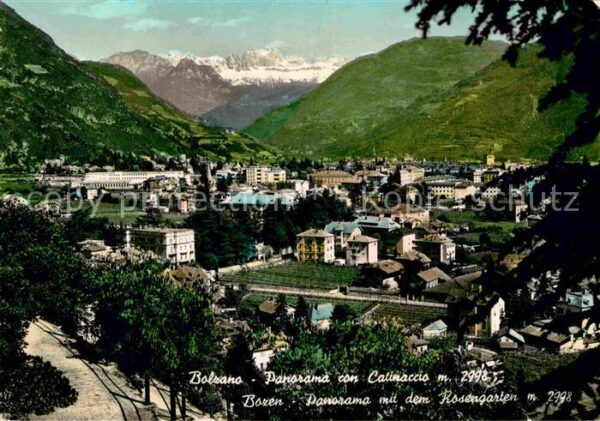 Bolzano Panorama Catinaccio