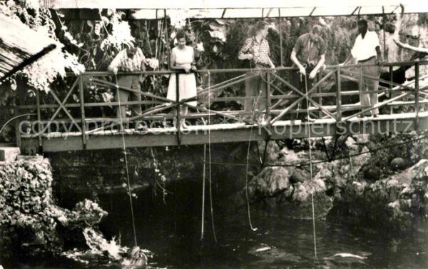 Bermuda Island Fishing in Devils Hole