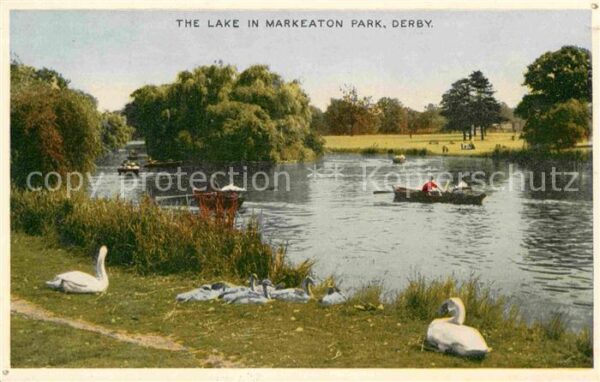 Derby Derbyshire Lake in Markeaton Park Schwäne Boote