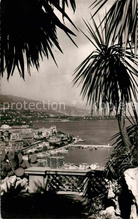 Monte-Carlo Vue General