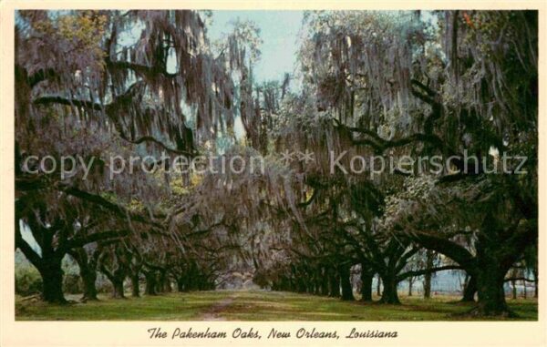 New Orleans Louisiana Pakeham Oaks