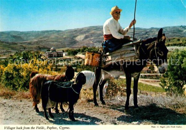 Paphos Villager back from the Fields