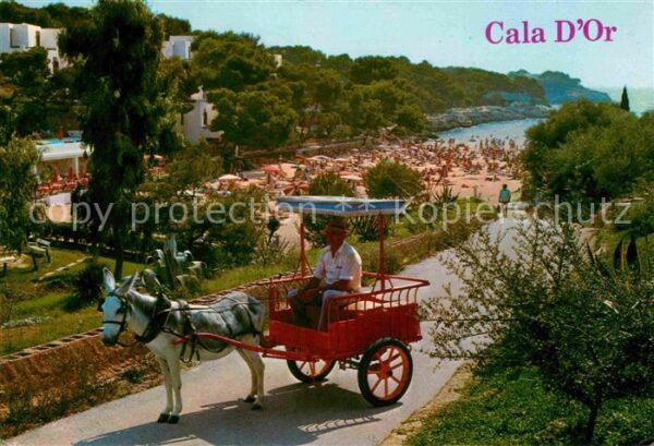 Cala d Or Eselkutsche