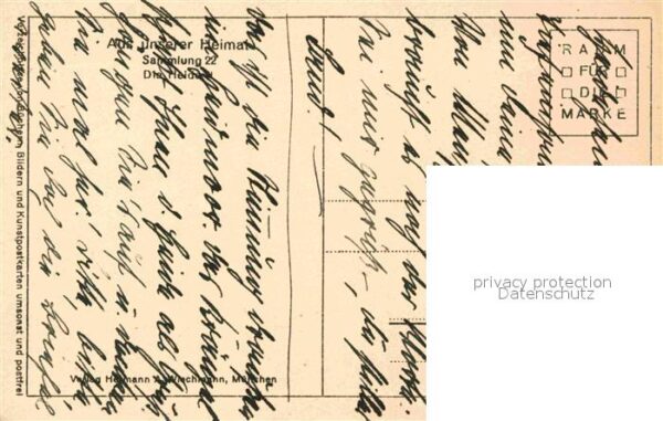 Pflanzen Wacholder in der Heide Foto Theodor und – Bild 2