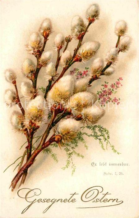 Ostern Easter Paques Weidenkätzchen Litho