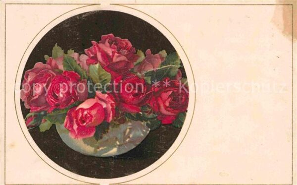 Verlag Meissner und Buch Rosen
