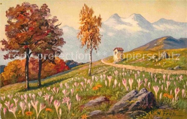 Frueh W. Colchicum autumnale Herbstzeitlose