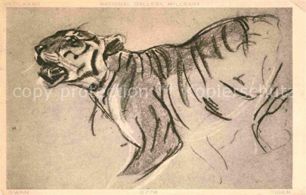 Kuenstlerkarte Swan Tiger