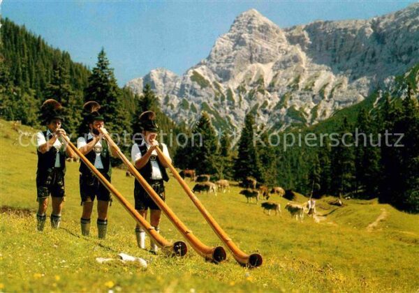 Alphorn Alphornbläser Schwangau Alpe Jägerhütte