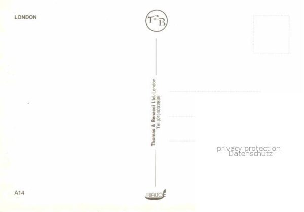 Adel England Hochzeit Lady Diana Prince Charles Leib – Bild 2