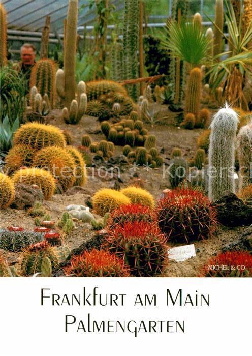 Kakteen Palmengarten Frankfurt am Main