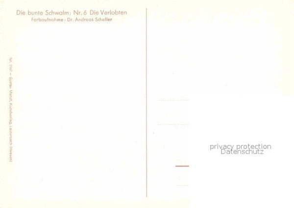 Trachten Hessen Schwalm Verlobte – Bild 2