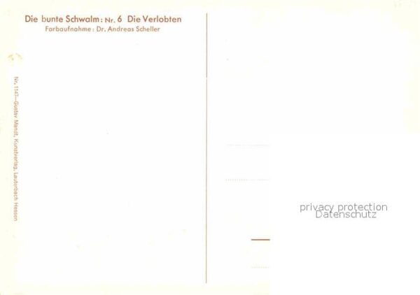 Trachten Hessen Schwalm Verlobte – Bild 2
