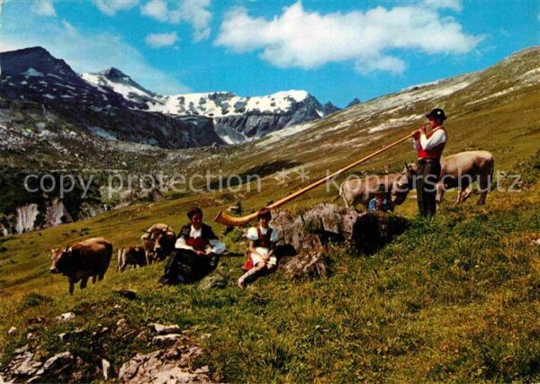 Alphorn Alphornbläser Kühe Alp