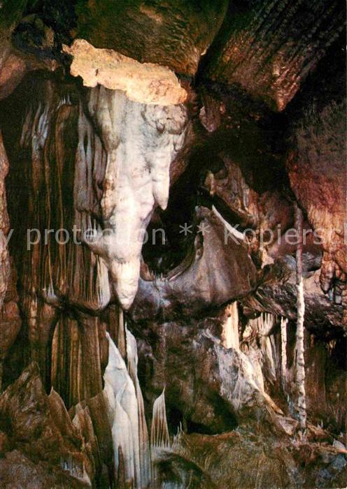 Hoehlen Caves Grottes Tropfsteinhöhle Attendorn Eisbär