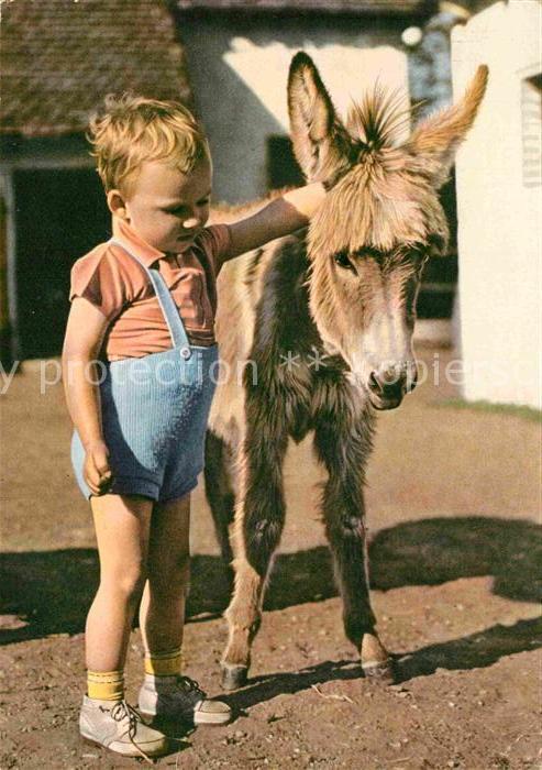 Esel Tiere Kind