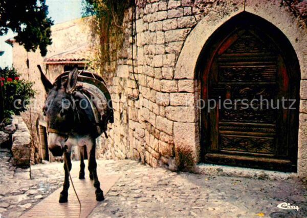 Esel Tiere Eze Alpes-Maritimes