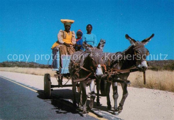 Esel Tiere Eselkarre Südwestafrika