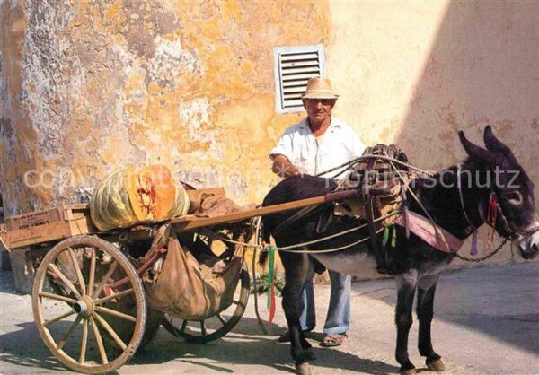 Esel Tiere Eselkarre Street Hawker selling Vegetab
