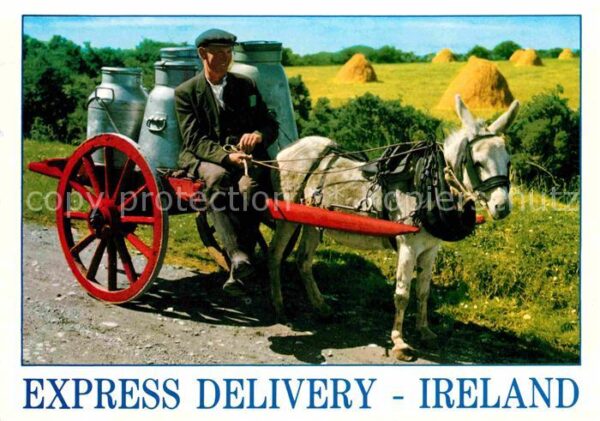 Esel Tiere Eselkarre Milchkarre Ireland