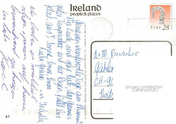 Esel Tiere Eselkarre Milchkarre Ireland – Bild 2
