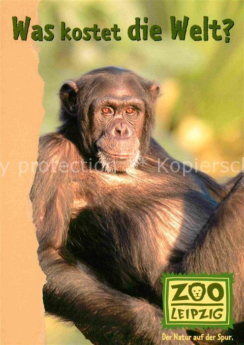 Affen Zoo Leipzig