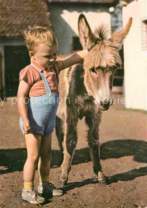 Esel Tiere Kind