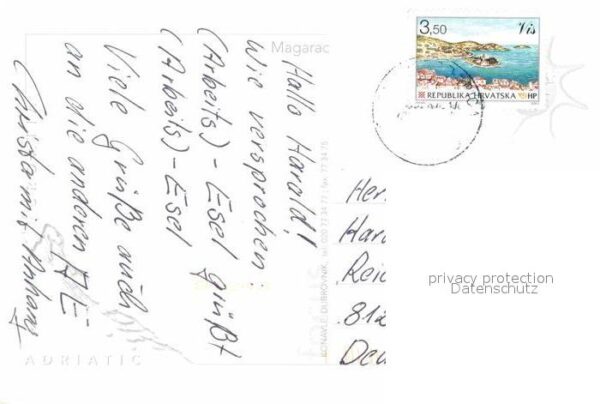 Esel Tiere Dalmatia – Bild 2