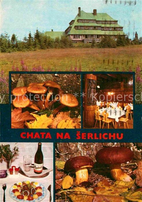 Destne Turisticka chata na Serlichu