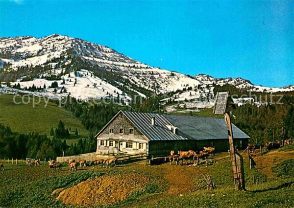 Steibis Alpe Remmelegg Einegundkopf