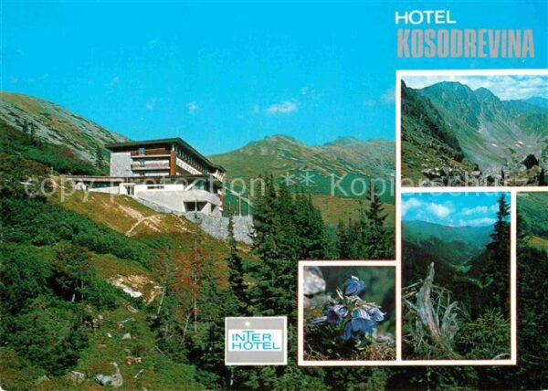 Nizke Tatry Hotel Kosodrevina
