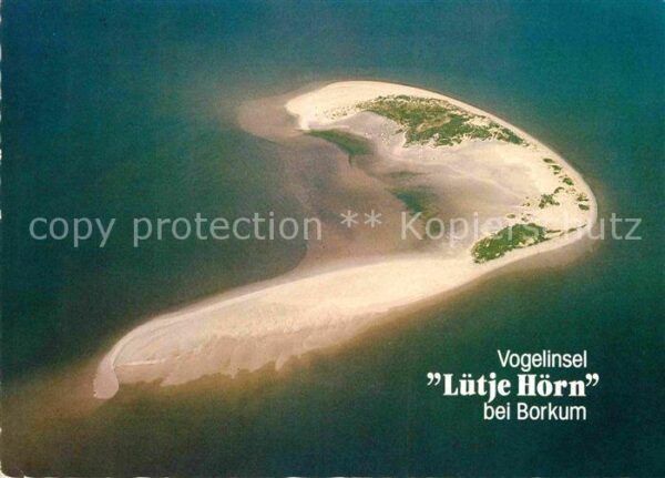 Borkum Fliegeraufnahme Vogelinsel Lütje Hörn