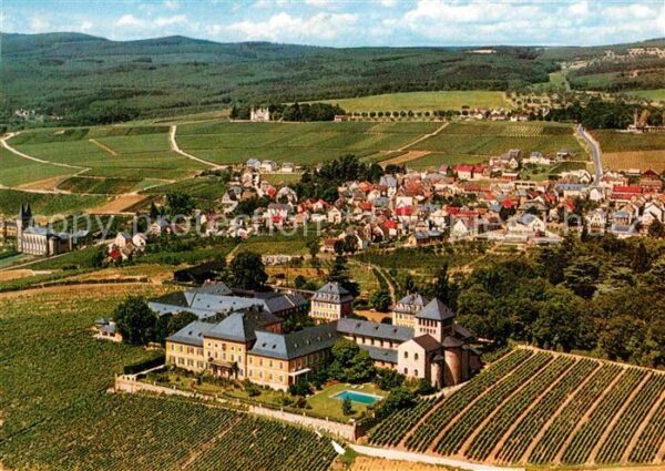 Johannisberg Rheingau Fliegeraufnahme Weingut Schloß Fürst vo