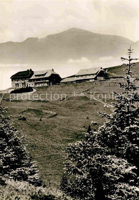Belchen Baden Hotel Belchenhaus