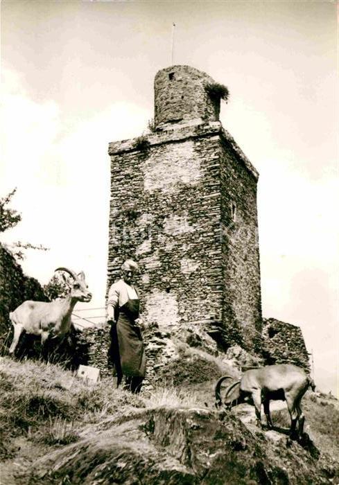Falkenstein Taunus Burgruine Steichböcke