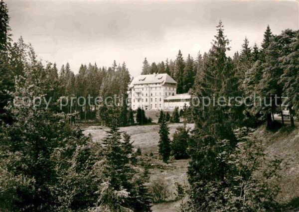 Notschrei Waldhotel
