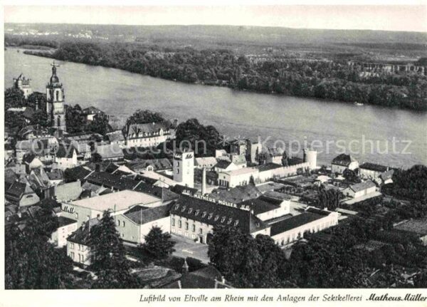 Eltville Rhein Fliegeraufnahme
