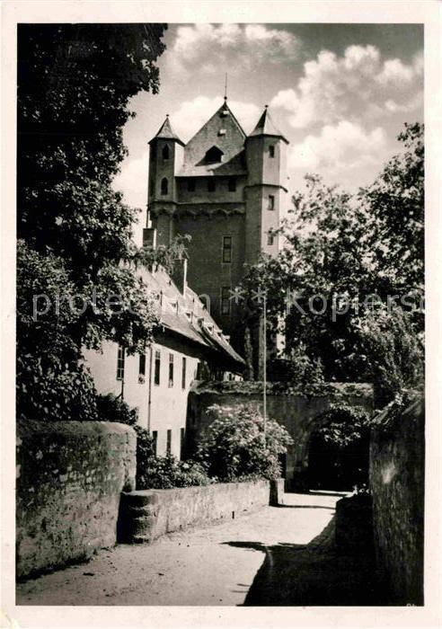 Eltville Rhein Schloss