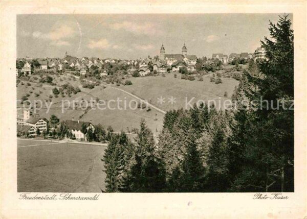 Freudenstadt Panorama