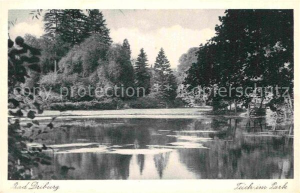 Bad Driburg Teich im Park