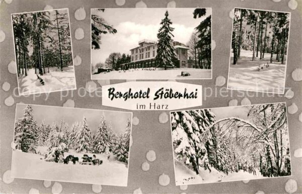 Walkenried Berghotel Stöberhai