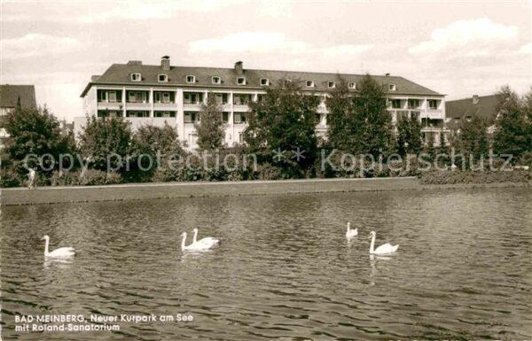 Bad Meinberg Kurpark Roland Sanatorium Schwäne