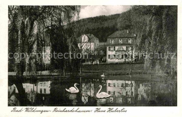 Bad Wildungen Reinhardshausen Haus Hubertus Schwäne