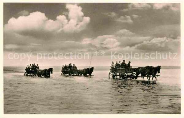Duhnen Nordsee Wattenfahrt Wattwagen