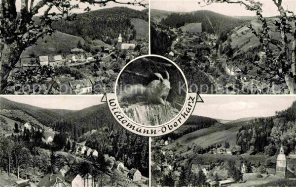 Wildemann Fliegeraufnahmen