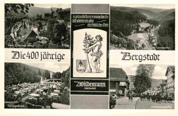 Wildemann Blick vom Zick-Zack-Weg Spiegeltal Dame