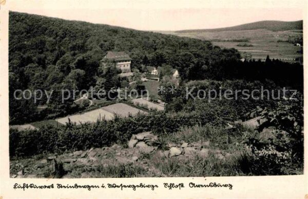 Steinbergen Fliegeraufnahme