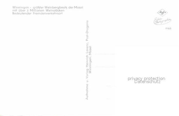 Winningen Mosel Fliegeraufnahme Moselpartie – Bild 2