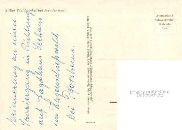Freudenstadt Waldpartie – Bild 2