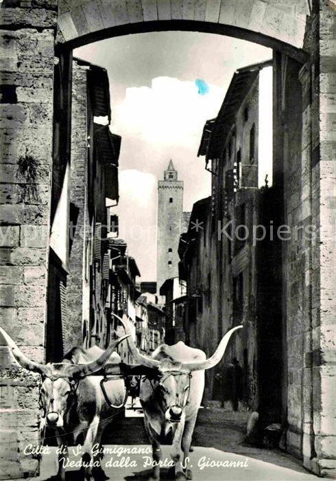 San Gimignano Altstadt mich Ochsengespann